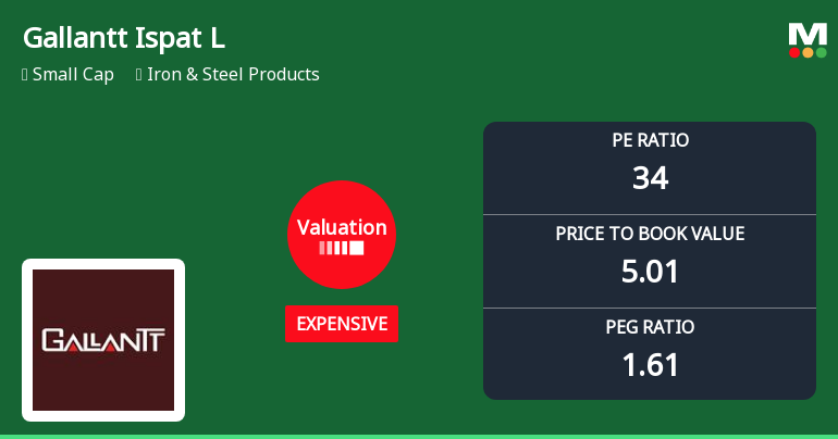 Gallantt Ispat Ltd: Valuation Shift Signals Changing Price Attractiveness Amid Market Volatility