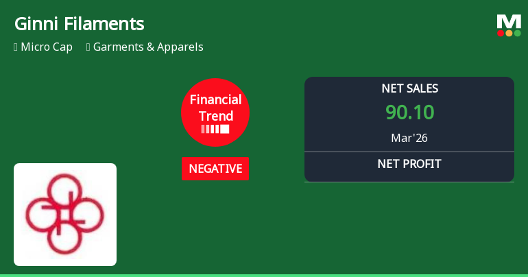 Ginni Filaments Ltd Reports Sharp Quarterly Decline Amid Negative Financial Trend
