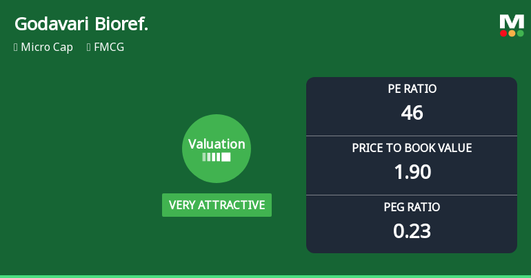 Godavari Biorefineries Ltd Valuation Shifts Signal Renewed Price Attractiveness