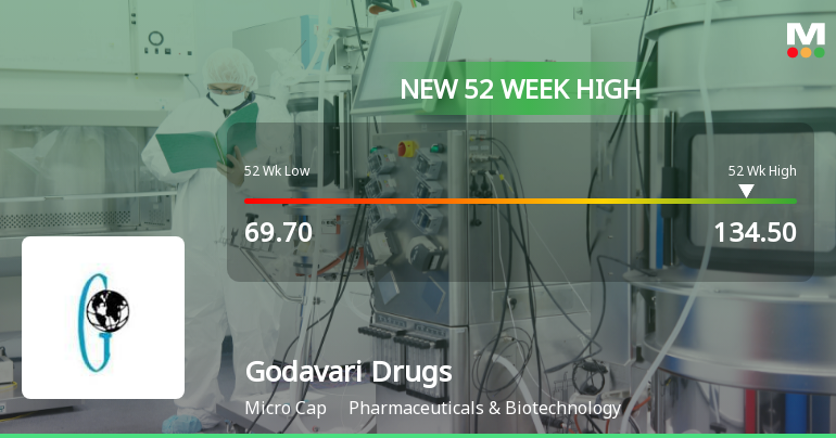 Broad-Based Technical Strength Lifts Godavari Drugs Ltd to 52-Week High of Rs 134.5