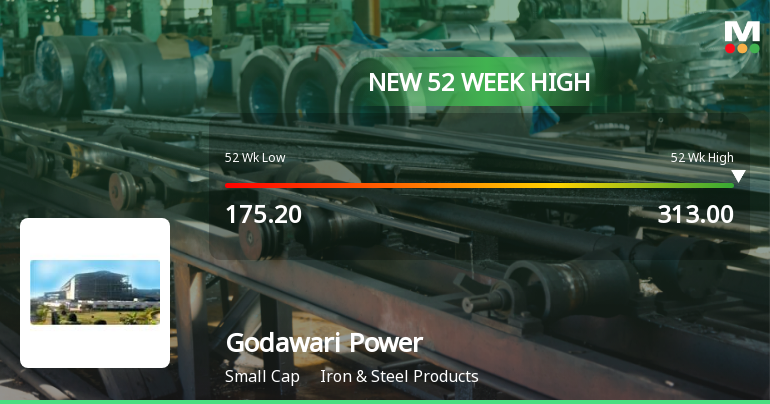 Broad-Based Technical Strength Lifts Godawari Power & Ispat Ltd to 52-Week High of Rs 313.2
