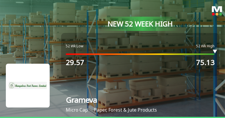 Broad-Based Technical Strength Lifts Grameva Limited to 52-Week High of Rs 75.13