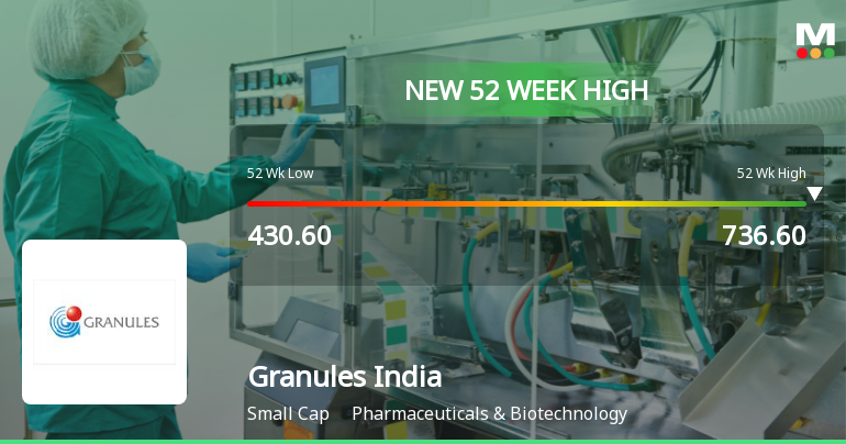Broad-Based Technical Strength Lifts Granules India Ltd to 52-Week High of Rs 736.6