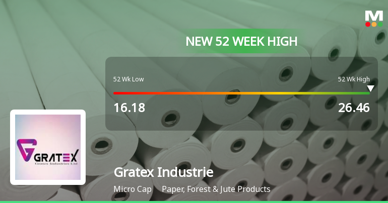Broad-Based Technical Strength Lifts Gratex Industries Ltd to 52-Week High of Rs 26.46