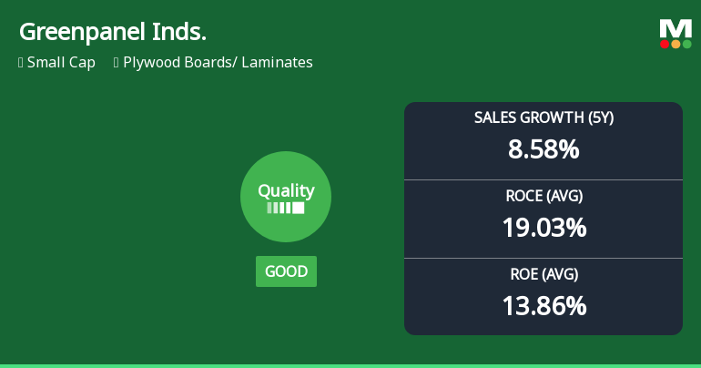 Greenpanel Industries Ltd Quality Upgrade Masks Underlying Challenges in Fundamentals