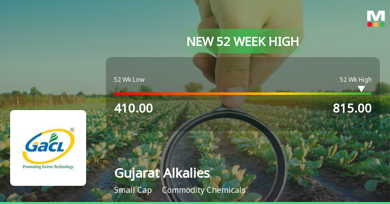 Broad-Based Technical Strength Lifts Gujarat Alkalies & Chemicals Ltd to 52-Week High of Rs 815