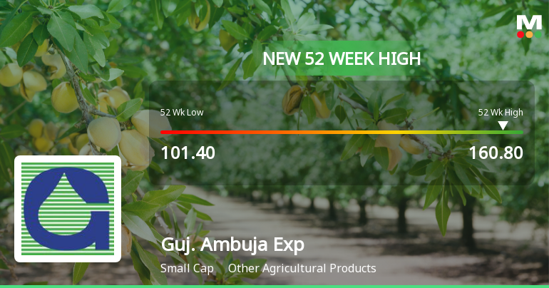 Broad-Based Technical Strength Lifts Gujarat Ambuja Exports Ltd to 52-Week High of Rs 160.8