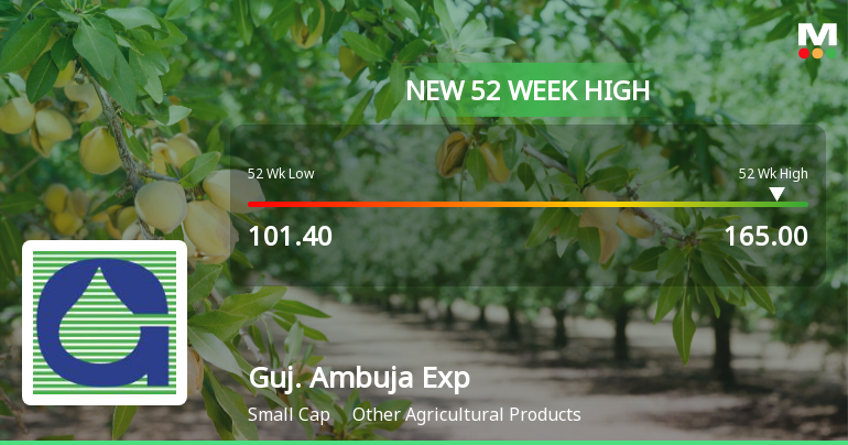 Broad-Based Technical Strength Lifts Gujarat Ambuja Exports Ltd to 52-Week High of Rs 165