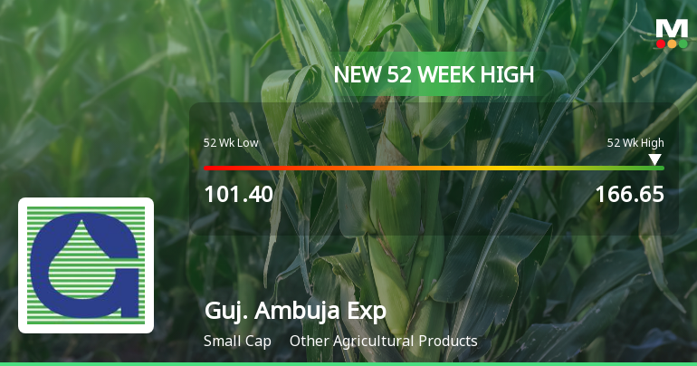 Broad-Based Technical Strength Lifts Gujarat Ambuja Exports Ltd to 52-Week High of Rs 166.65