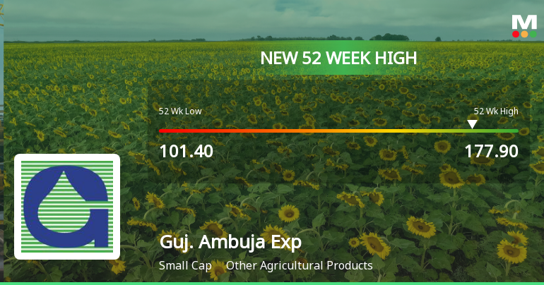 Broad-Based Technical Strength Lifts Gujarat Ambuja Exports Ltd to 52-Week High of Rs 177.9