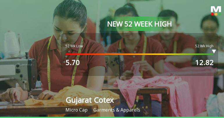 Broad-Based Technical Strength Lifts Gujarat Cotex Ltd to 52-Week High of Rs 12.82