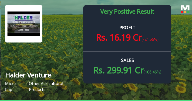 Halder Venture Q4 FY26: Strong Revenue Recovery Masks Profit Volatility Concerns