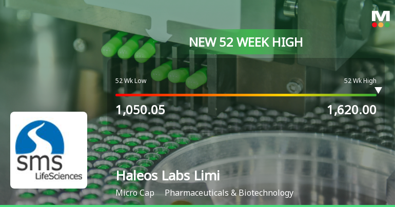 Broad-Based Technical Strength Lifts Haleos Labs Limited to 52-Week High of Rs 1620
