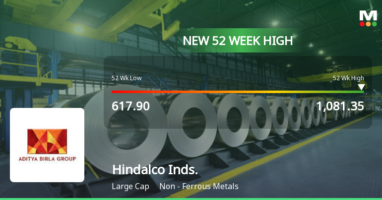 Broad-Based Technical Strength Lifts Hindalco Industries Ltd to 52-Week High of Rs 1081.35