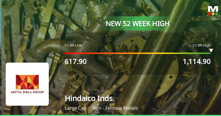 Broad-Based Technical Strength Lifts Hindalco Industries Ltd to 52-Week High of Rs 1114.9
