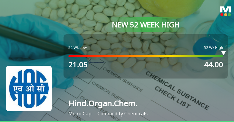 Broad-Based Technical Strength Lifts Hindustan Organic Chemicals Ltd to 52-Week High of Rs 42.01