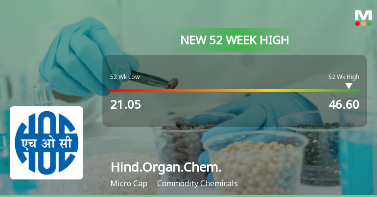 Broad-Based Technical Strength Lifts Hindustan Organic Chemicals Ltd to 52-Week High of Rs 46.6