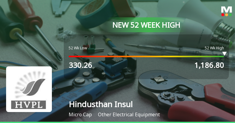 Broad-Based Technical Strength Lifts Hindusthan Insulators & Industries Ltd to 52-Week High of Rs 1186.8