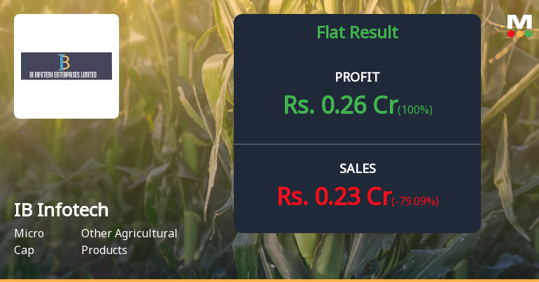 IB Infotech Q4 FY26: Revenue Collapse and Operating Losses Raise Serious Concerns