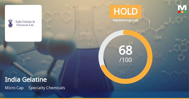 India Gelatine & Chemicals Ltd Downgraded to Hold Amid Valuation and Technical Shifts