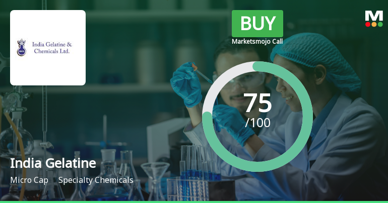 India Gelatine & Chemicals Ltd Upgraded to Buy on Strong Technical and Financial Metrics