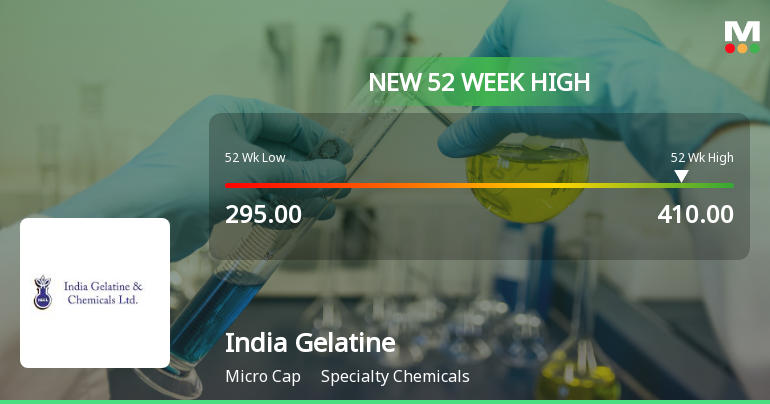 Broad-Based Technical Strength Lifts India Gelatine & Chemicals Ltd to 52-Week High of Rs 410