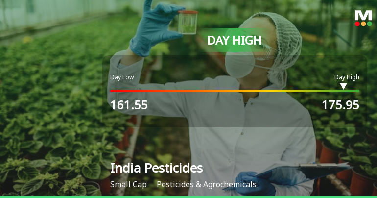 India Pesticides Ltd Surges 7.04% to Day's High of Rs 172.95 — Outperforms Sector by 6.28 Percentage Points
