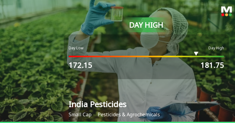 India Pesticides Ltd Surges 7.54% to Day's High of Rs 179.65 — Outperforms Sector by 5.94 Percentage Points