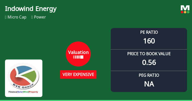 Indowind Energy Ltd Valuation Shifts Signal Heightened Price Risk Amid Weak Fundamentals