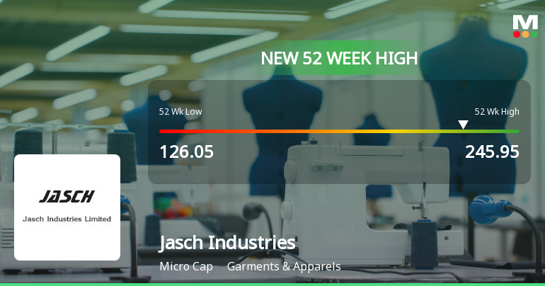 Broad-Based Technical Strength Lifts Jasch Industries Ltd to 52-Week High of Rs 245.95
