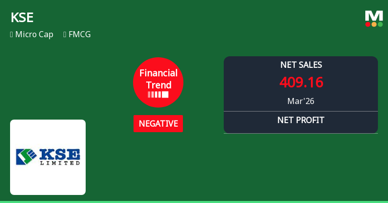 KSE Ltd Reports Sharp Quarterly Decline Amidst Negative Financial Trend