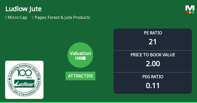Ludlow Jute & Specialities Ltd: Valuation Shift Enhances Price Attractiveness Amid Strong Returns