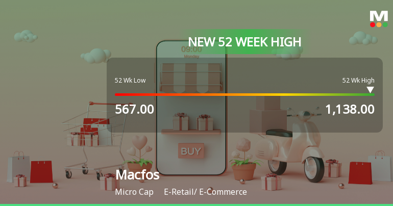 Broad-Based Technical Strength Lifts Macfos Ltd to 52-Week High of Rs 1138