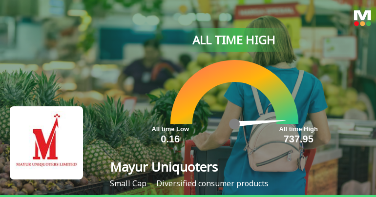 Mayur Uniquoters Ltd Hits All-Time High of Rs 737.95 as Momentum Builds Across Timeframes
