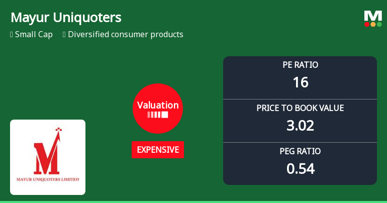 Mayur Uniquoters Ltd Valuation Shifts Signal Changing Price Attractiveness