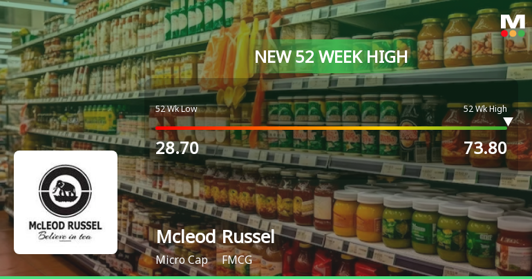 Broad-Based Technical Strength Lifts Mcleod Russel India Ltd to 52-Week High of Rs 73.8