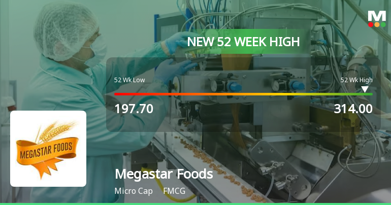 Broad-Based Technical Strength Lifts Megastar Foods Ltd to 52-Week High of Rs 314