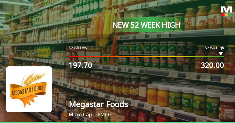 Broad-Based Technical Strength Lifts Megastar Foods Ltd to 52-Week High of Rs 320