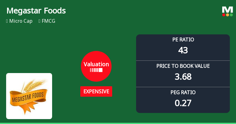 Megastar Foods Ltd Valuation Shifts Signal Changing Market Sentiment