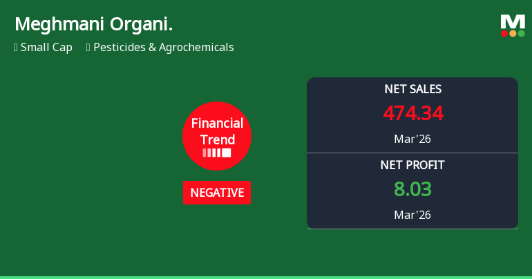 Meghmani Organics Ltd Reports Mixed Quarterly Performance Amidst Challenging Market Conditions