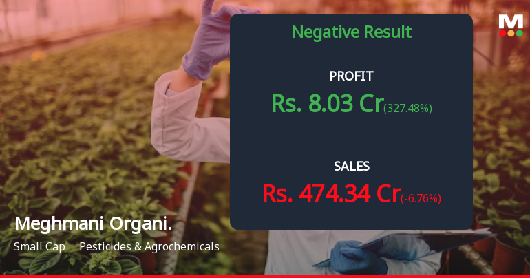 Meghmani Organics Q4 FY26: Margins Collapse Amid Mounting Operational Pressures