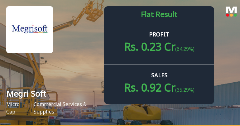 Megri Soft Q4 FY26: Profit Surge Masks Underlying Weaknesses in Micro-Cap IT Firm