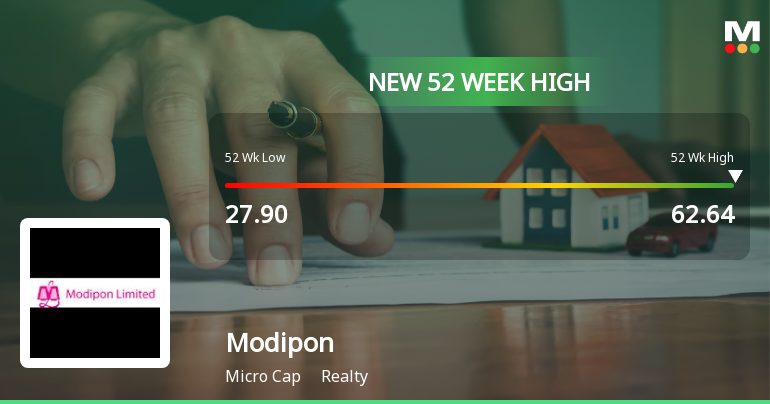 Broad-Based Technical Strength Lifts Modipon Ltd to 52-Week High of Rs 62.64