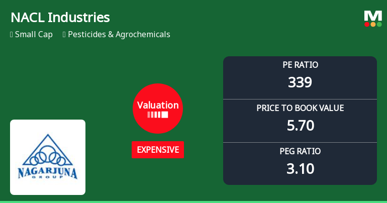 NACL Industries Ltd Valuation Shifts Signal Elevated Price Risk Amid Strong Returns