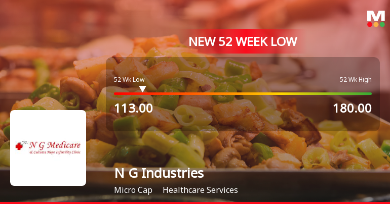 N G Industries Ltd Falls to 52-Week Low of Rs 113 as Sell-Off Deepens