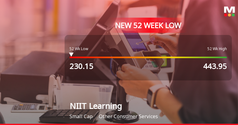 NIIT Learning Systems Ltd Falls to 52-Week Low of Rs 230.15 as Sell-Off Deepens