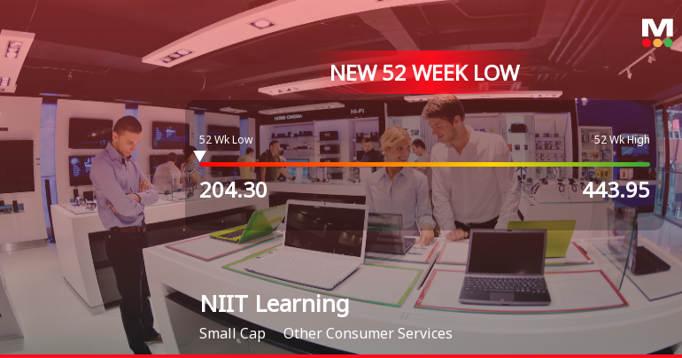NIIT Learning Systems Ltd Falls to 52-Week Low of Rs 204.3 as Sell-Off Deepens