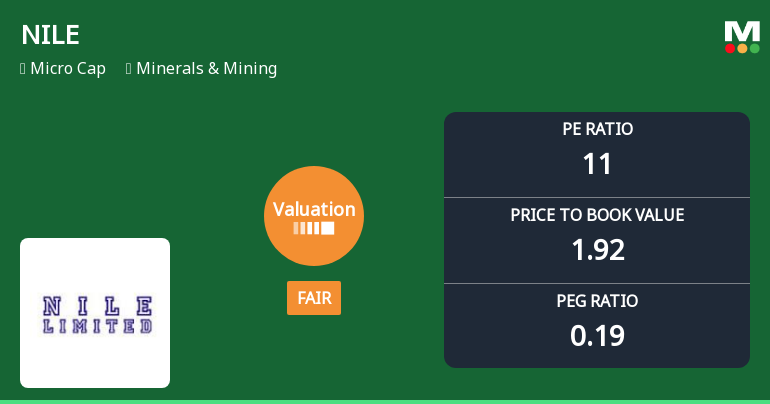 NILE Ltd Valuation Shifts: From Very Attractive to Fair Amid Strong Market Returns
