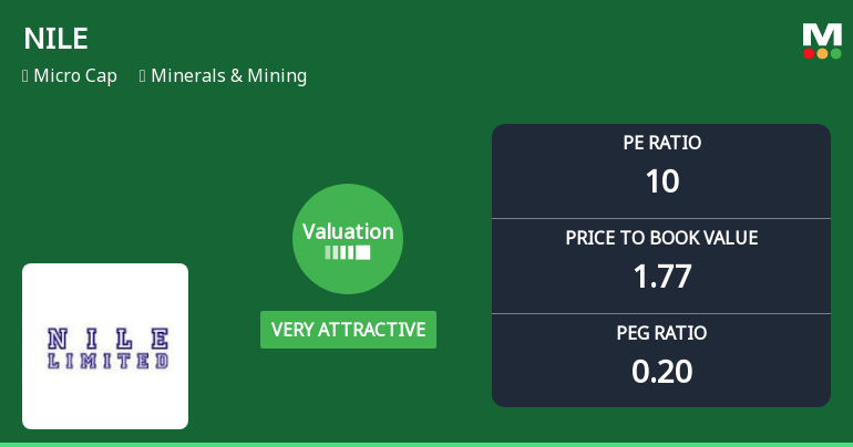 NILE Ltd Valuation Shifts Signal Renewed Price Attractiveness Amid Strong Market Returns