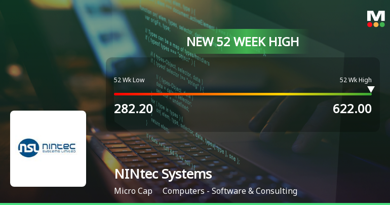 Broad-Based Technical Strength Lifts NINtec Systems Ltd to 52-Week High of Rs 622